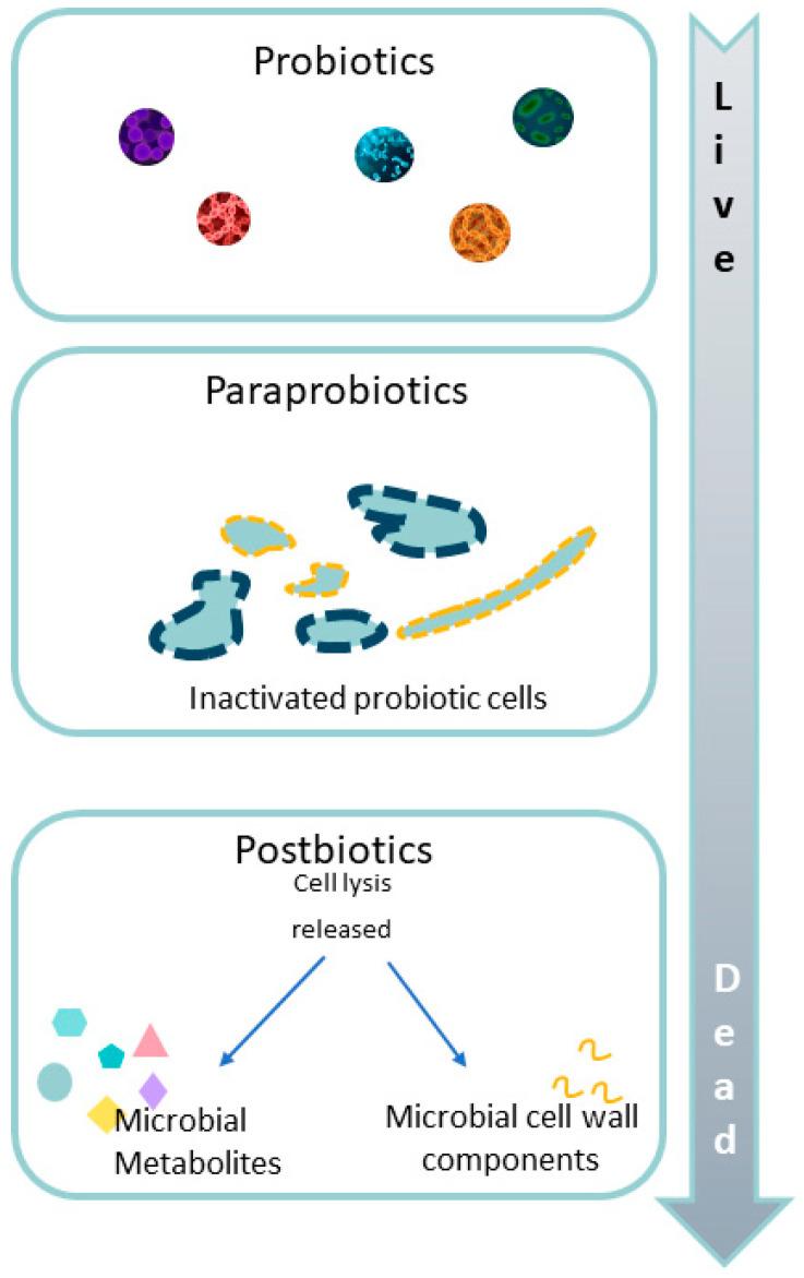 https://cdn.ncbi.nlm.nih.gov/pmc/blobs/6c59/11356122/657e561e1505/microorganisms-12-01582-g006.jpg