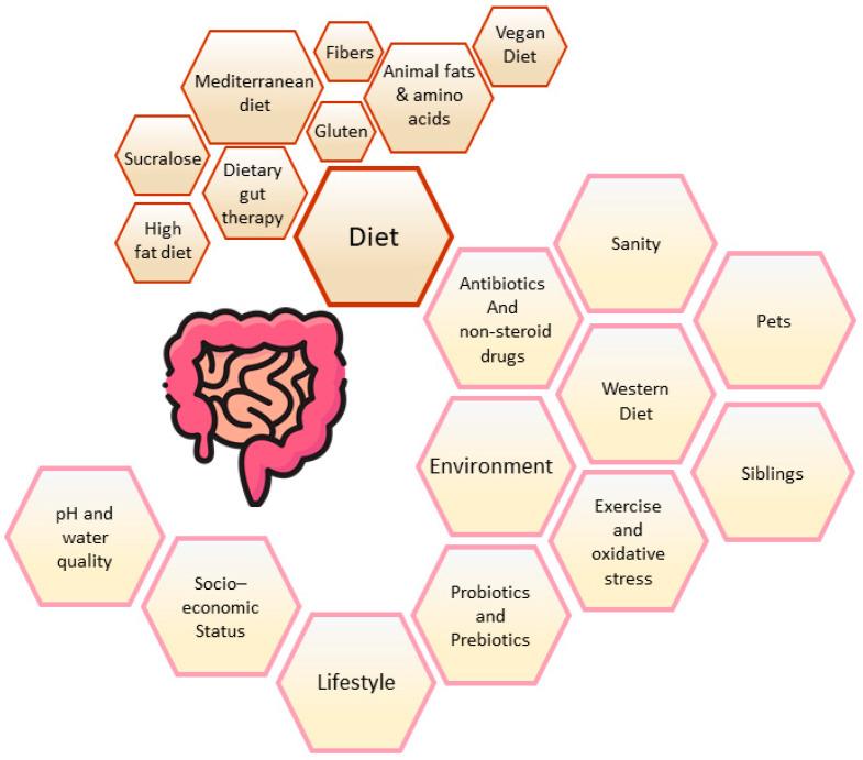 https://cdn.ncbi.nlm.nih.gov/pmc/blobs/6c59/11356122/a2469be0476c/microorganisms-12-01582-g001.jpg