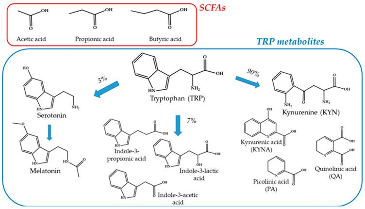 https://cdn.ncbi.nlm.nih.gov/pmc/blobs/6c59/11356122/cd214d7db22c/microorganisms-12-01582-g007.jpg