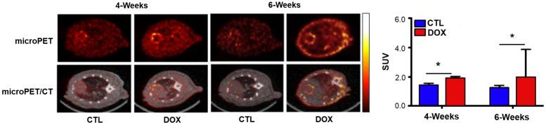 https://cdn.ncbi.nlm.nih.gov/pmc/blobs/6c5a/11504556/9652ea088d03/antioxidants-13-01254-g003.jpg
