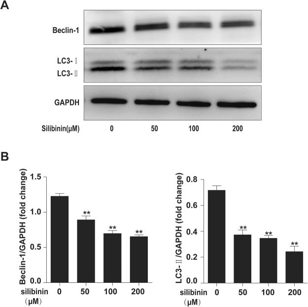 https://cdn.ncbi.nlm.nih.gov/pmc/blobs/6c5a/5818498/0ed830386d02/41598_2018_21674_Fig5_HTML.jpg