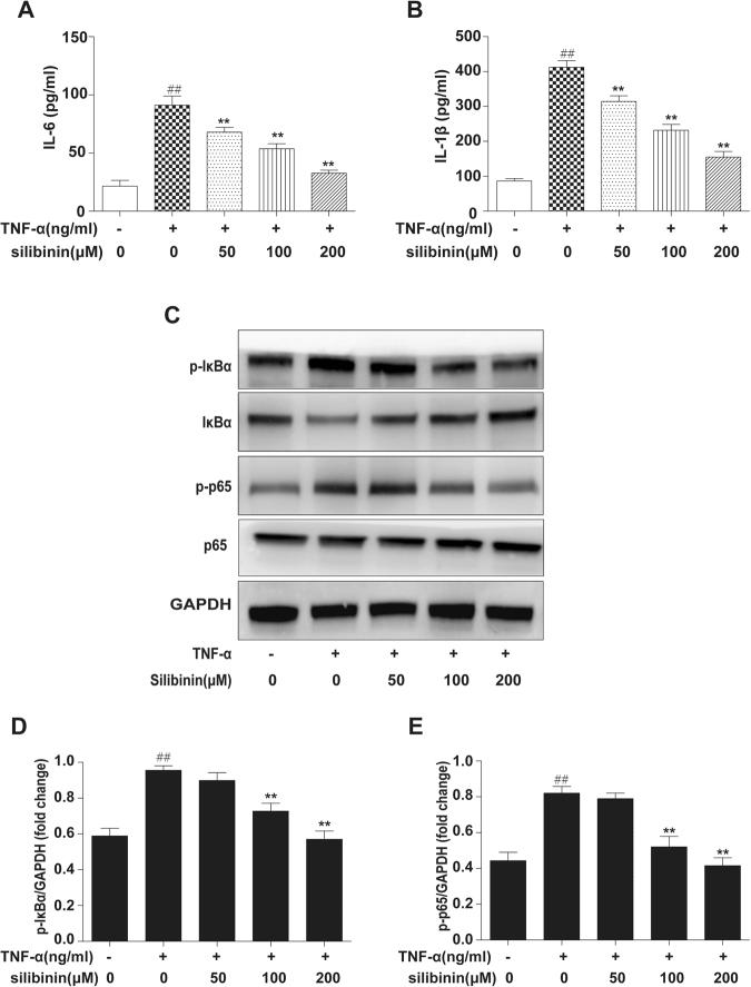 https://cdn.ncbi.nlm.nih.gov/pmc/blobs/6c5a/5818498/67fd04ce3819/41598_2018_21674_Fig2_HTML.jpg