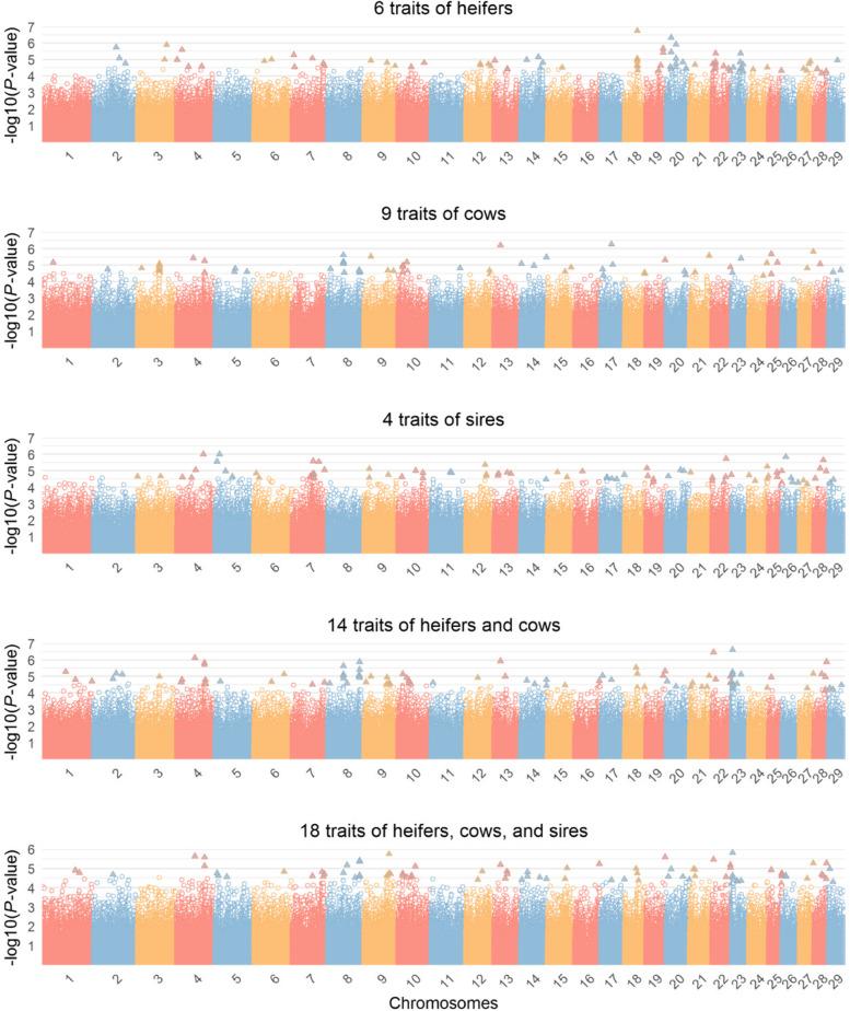 https://cdn.ncbi.nlm.nih.gov/pmc/blobs/6c5b/9052698/81715fa74168/12864_2022_8555_Fig2_HTML.jpg