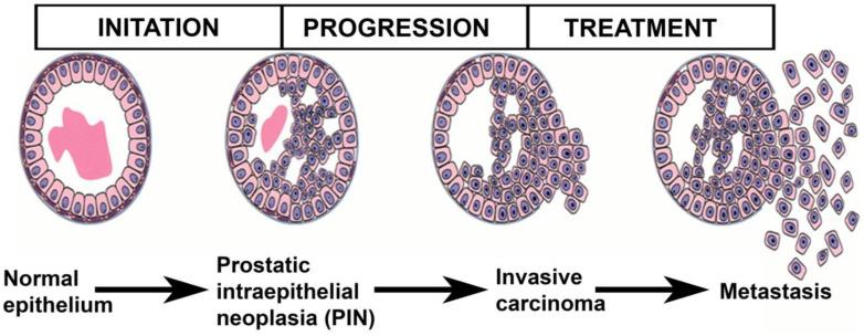 https://cdn.ncbi.nlm.nih.gov/pmc/blobs/6c5f/10976144/19ed0c0026ea/pharmaceutics-16-00297-g003.jpg