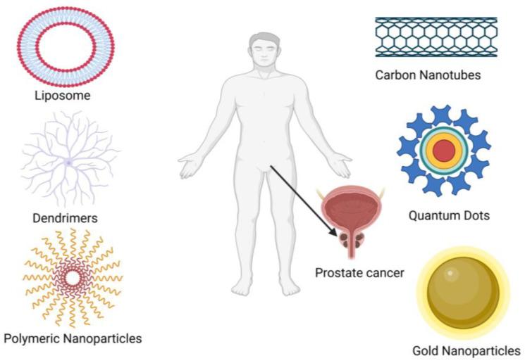 https://cdn.ncbi.nlm.nih.gov/pmc/blobs/6c5f/10976144/ed62a098ce30/pharmaceutics-16-00297-g005.jpg