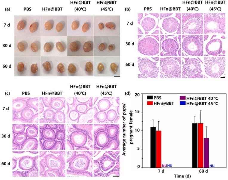 https://cdn.ncbi.nlm.nih.gov/pmc/blobs/6c61/10879778/bb66406c156a/gr4.jpg