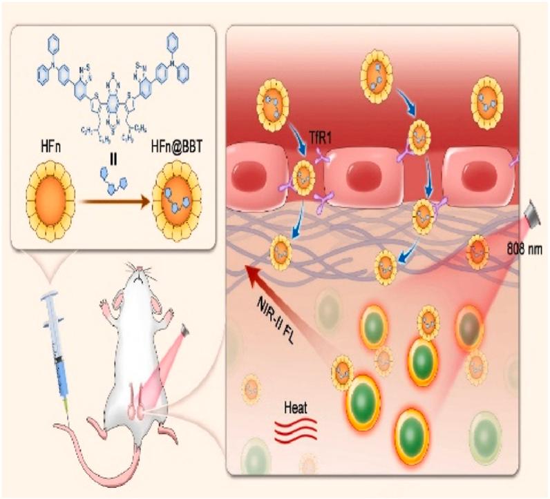 https://cdn.ncbi.nlm.nih.gov/pmc/blobs/6c61/10879778/ef5d1ac1e31b/ga1.jpg