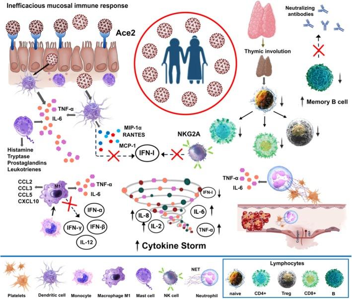 https://cdn.ncbi.nlm.nih.gov/pmc/blobs/6c61/12098970/372a50fcad69/PHY2-13-e70364-g001.jpg