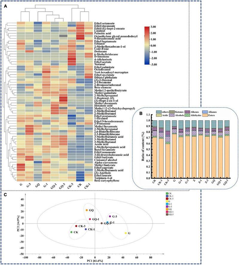 https://cdn.ncbi.nlm.nih.gov/pmc/blobs/6c64/9932774/298c830a3f0c/fmicb-13-1118907-g006.jpg