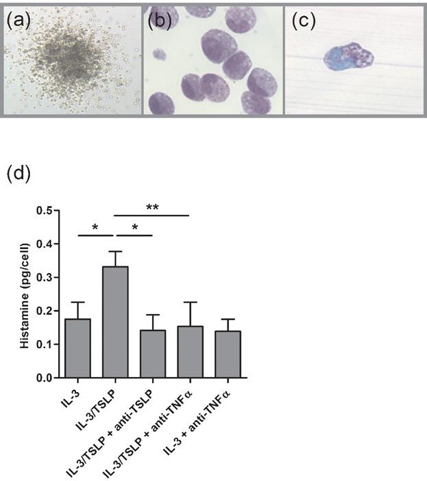 https://cdn.ncbi.nlm.nih.gov/pmc/blobs/6c67/4220668/0a8ef4802704/iid30002-0044-f2.jpg