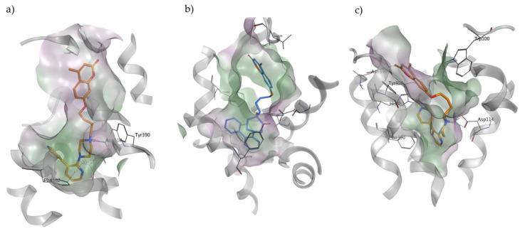 https://cdn.ncbi.nlm.nih.gov/pmc/blobs/6c67/8877291/f67709c3f818/molecules-27-01297-g004.jpg