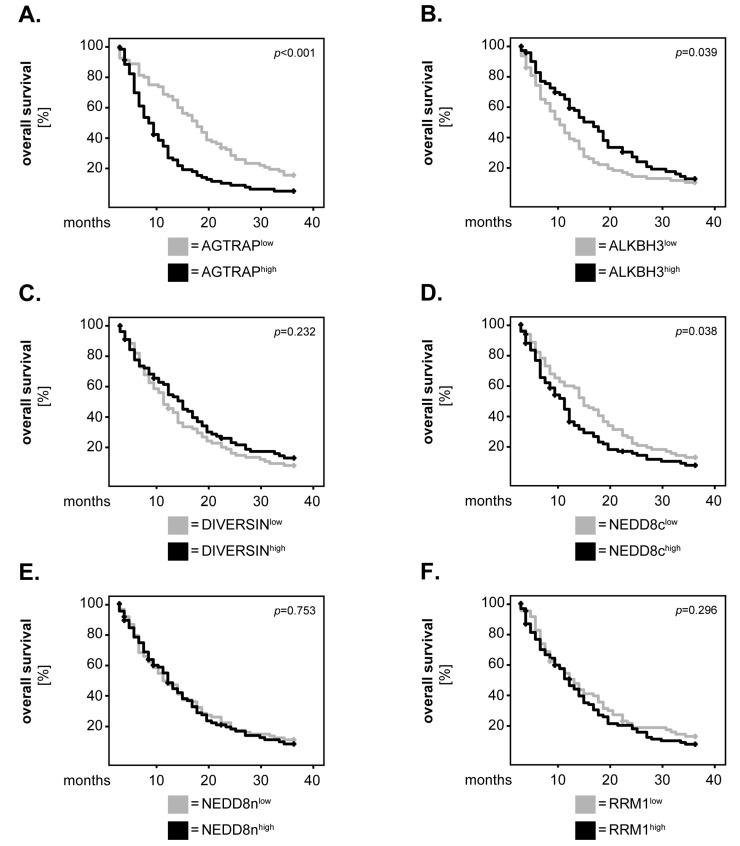 https://cdn.ncbi.nlm.nih.gov/pmc/blobs/6c68/11048029/0826d477e6db/biomedicines-12-00926-g003.jpg