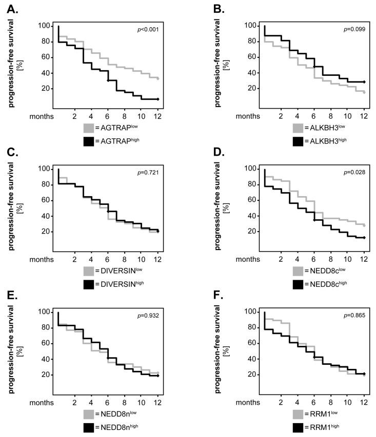 https://cdn.ncbi.nlm.nih.gov/pmc/blobs/6c68/11048029/ed3cd90de8e8/biomedicines-12-00926-g005.jpg