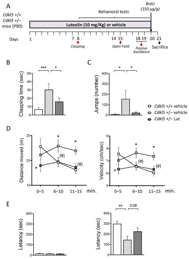 https://cdn.ncbi.nlm.nih.gov/pmc/blobs/6c69/9369425/3209661479a1/ijms-23-08719-g001.jpg