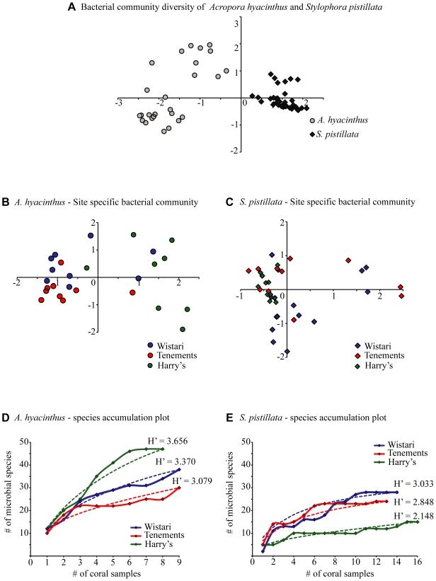 https://cdn.ncbi.nlm.nih.gov/pmc/blobs/6c6a/2861602/753d1614851d/pone.0010401.g003.jpg