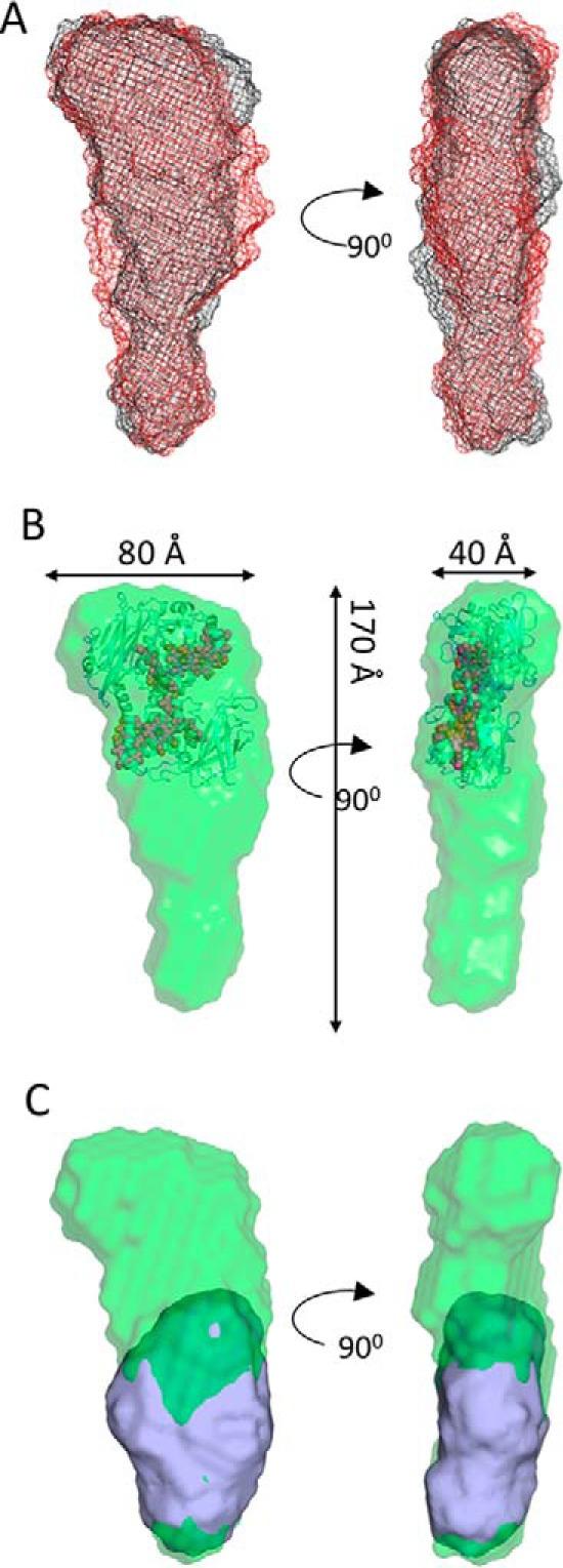 https://cdn.ncbi.nlm.nih.gov/pmc/blobs/6c6a/5971433/66dbd109fd6c/zbc0221887670003.jpg