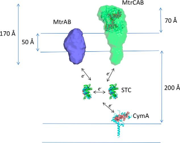 https://cdn.ncbi.nlm.nih.gov/pmc/blobs/6c6a/5971433/be7cd4df5050/zbc0221887670005.jpg