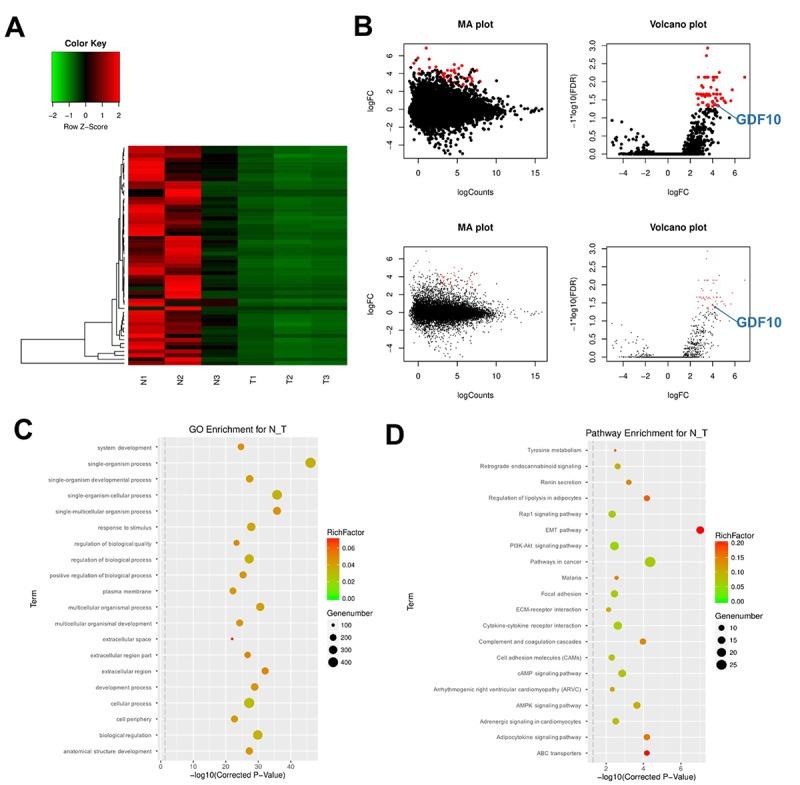 https://cdn.ncbi.nlm.nih.gov/pmc/blobs/6c6b/6555447/fc9df762aad3/aging-11-101983-g001.jpg