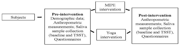 https://cdn.ncbi.nlm.nih.gov/pmc/blobs/6c6c/12390243/75da163c372e/sports-13-00266-g001.jpg