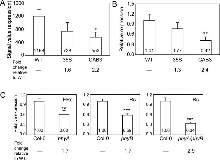 https://cdn.ncbi.nlm.nih.gov/pmc/blobs/6c6d/3871806/4caba4a46c0e/exbotj_ert308_f0001.jpg