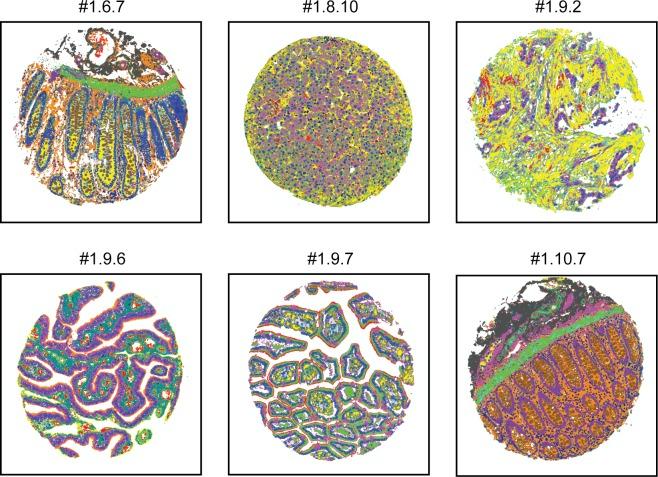 https://cdn.ncbi.nlm.nih.gov/pmc/blobs/6c6e/4503351/e700ff6e22d2/pone.0128975.g007.jpg