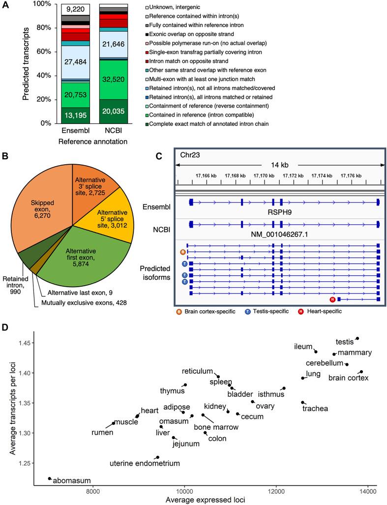 https://cdn.ncbi.nlm.nih.gov/pmc/blobs/6c6e/8173071/4bc90a4ad0ba/fgene-12-664260-g002.jpg