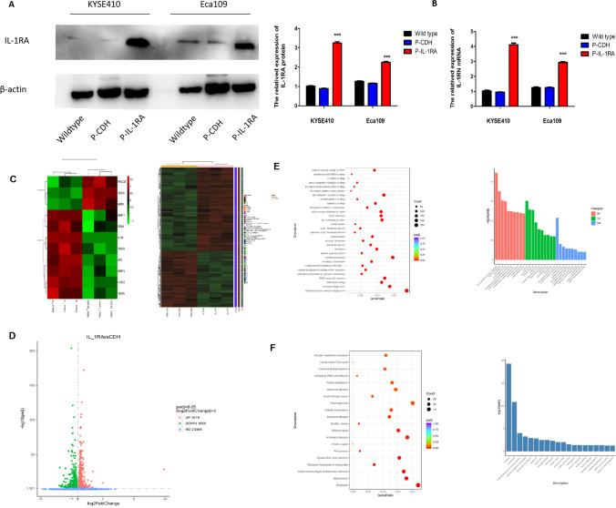 https://cdn.ncbi.nlm.nih.gov/pmc/blobs/6c6f/10191916/08a2310c75e5/10142_2023_1049_Fig3_HTML.jpg