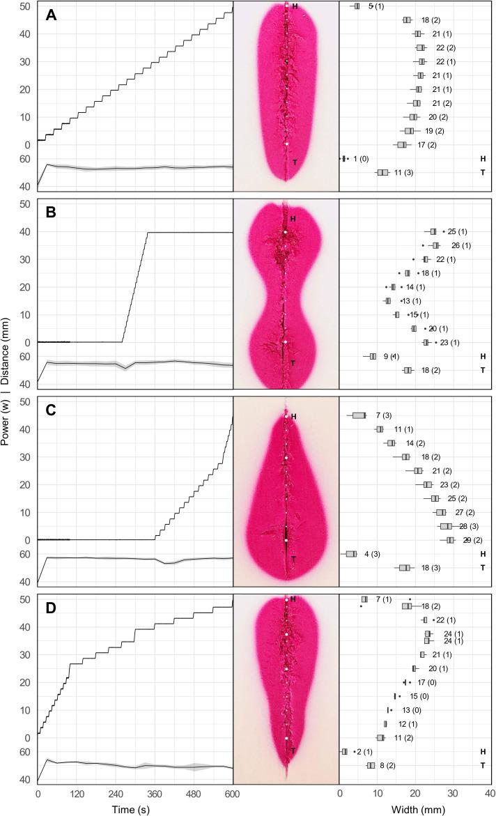https://cdn.ncbi.nlm.nih.gov/pmc/blobs/6c6f/11695216/51b90447a7af/fonc-14-1463686-g005.jpg