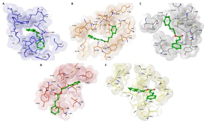 https://cdn.ncbi.nlm.nih.gov/pmc/blobs/6c6f/7249159/630c2583cb3c/molecules-25-02174-g002.jpg