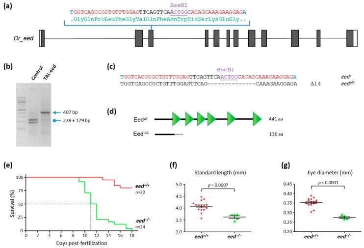 https://cdn.ncbi.nlm.nih.gov/pmc/blobs/6c71/8620594/bbac6b16c9db/cells-10-03142-g002.jpg