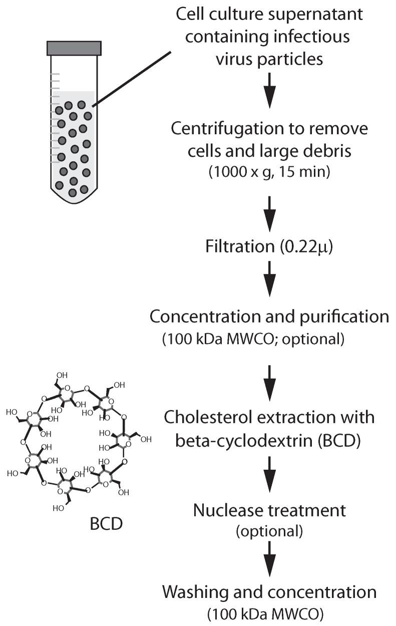 https://cdn.ncbi.nlm.nih.gov/pmc/blobs/6c72/11769224/ab2c15195e70/vaccines-13-00079-g001.jpg