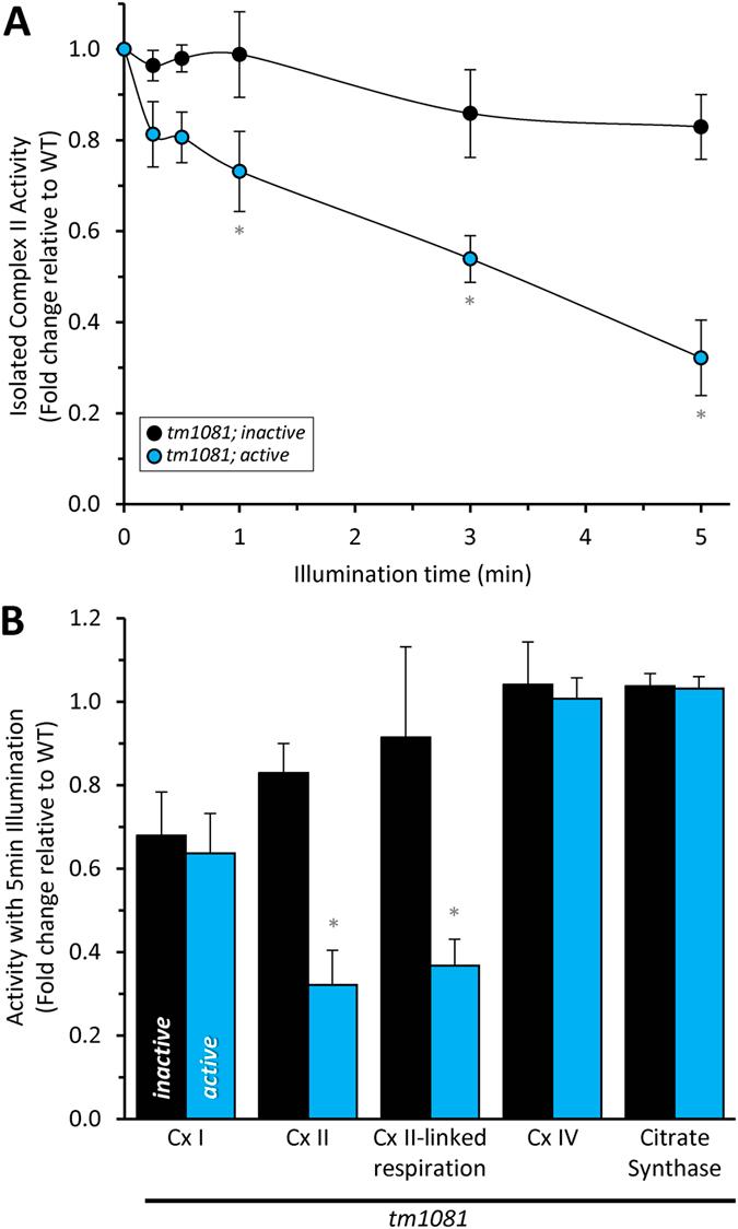 https://cdn.ncbi.nlm.nih.gov/pmc/blobs/6c74/4954975/6900c6051bba/srep29695-f5.jpg