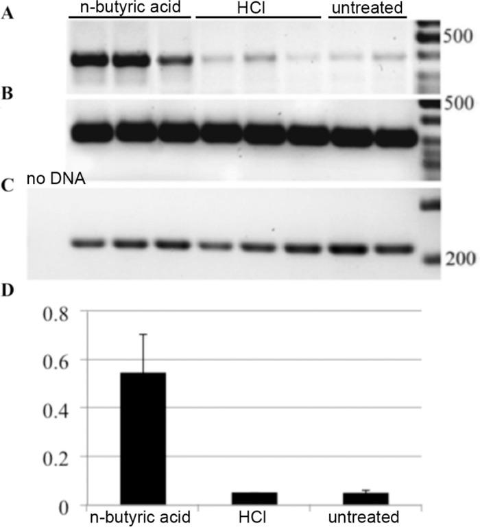 https://cdn.ncbi.nlm.nih.gov/pmc/blobs/6c74/4956219/13dcfbbe9954/pone.0154102.g003.jpg