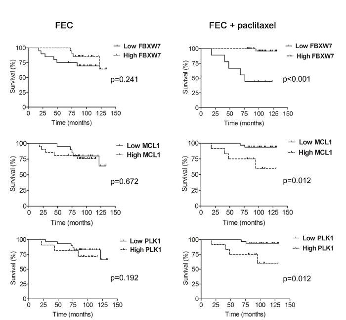 https://cdn.ncbi.nlm.nih.gov/pmc/blobs/6c74/5288146/0d9e5d0d4fc2/oncotarget-07-52751-g007.jpg