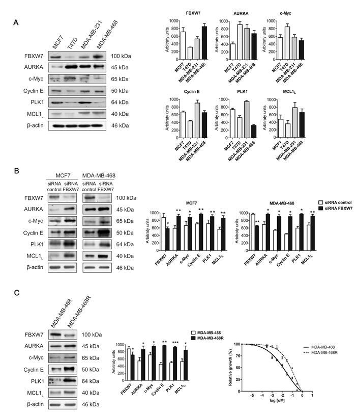 https://cdn.ncbi.nlm.nih.gov/pmc/blobs/6c74/5288146/34a27a88e2c7/oncotarget-07-52751-g001.jpg