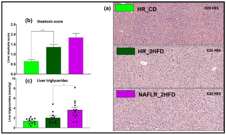 https://cdn.ncbi.nlm.nih.gov/pmc/blobs/6c74/7833443/f953353aaf25/microorganisms-09-00199-g006.jpg