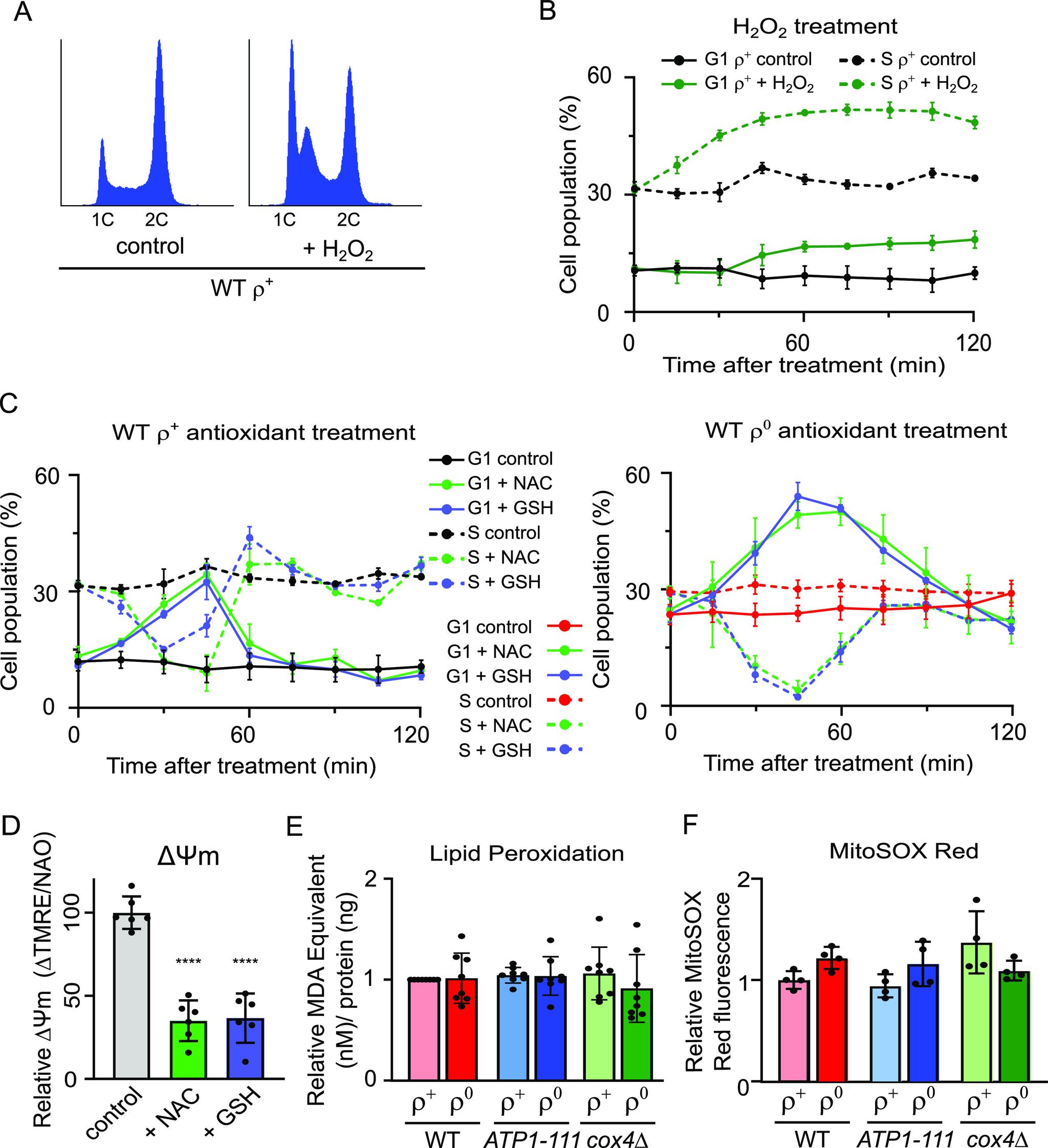 https://cdn.ncbi.nlm.nih.gov/pmc/blobs/6c77/10494934/12160ee3e2a7/LSA-2023-02091_Fig5.jpg