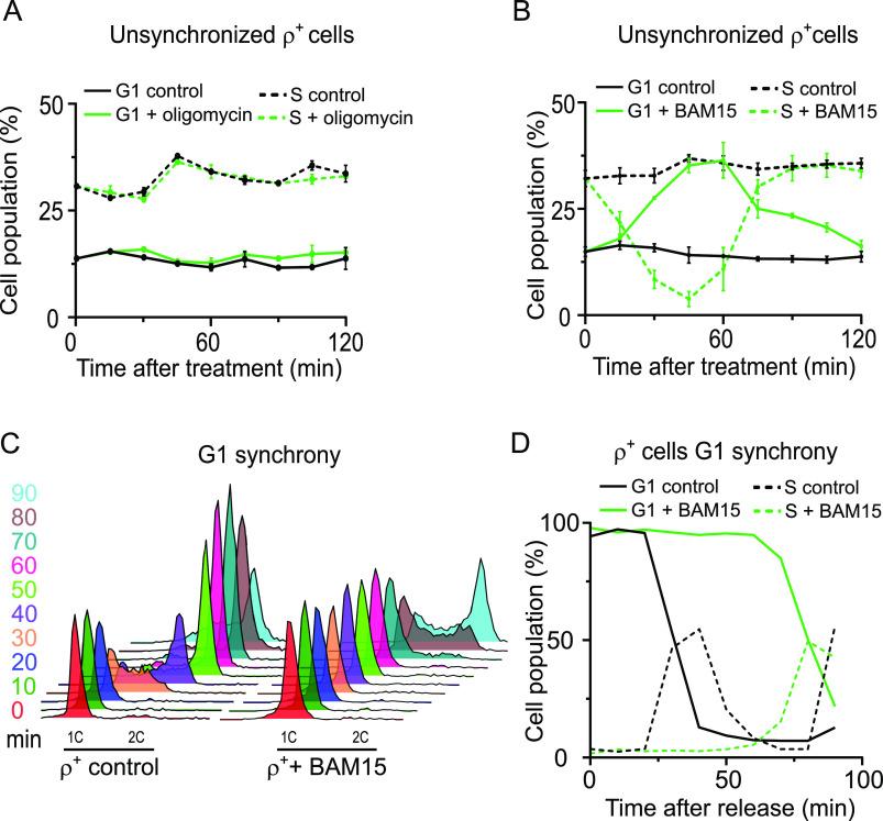 https://cdn.ncbi.nlm.nih.gov/pmc/blobs/6c77/10494934/1d589d2259e4/LSA-2023-02091_Fig2.jpg