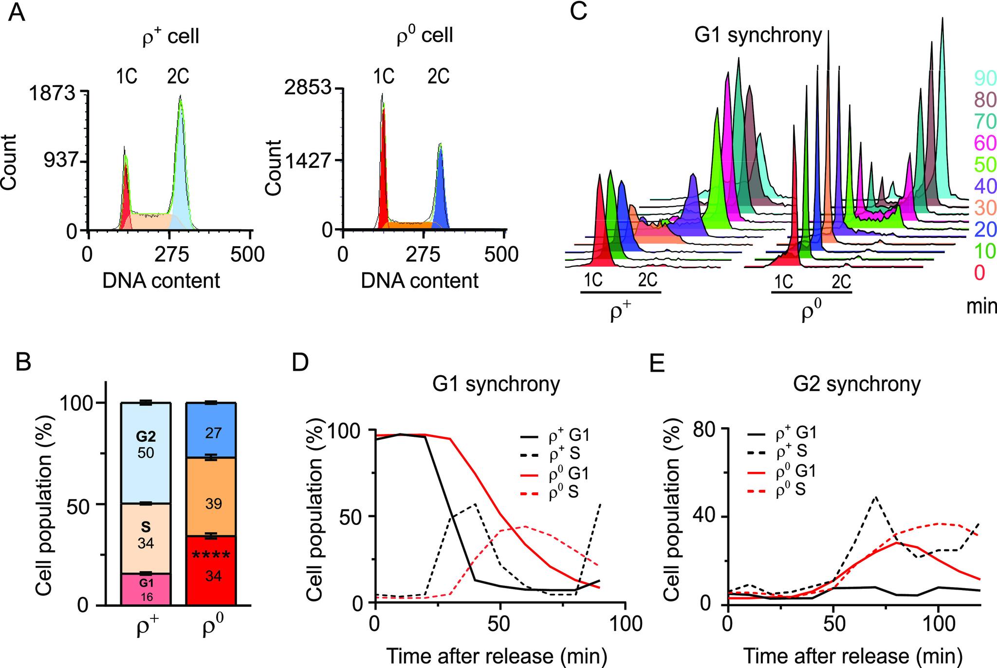 https://cdn.ncbi.nlm.nih.gov/pmc/blobs/6c77/10494934/c75f81b585b0/LSA-2023-02091_Fig1.jpg