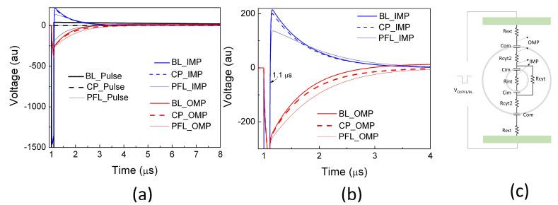 https://cdn.ncbi.nlm.nih.gov/pmc/blobs/6c79/10525734/9c1a2c231569/bioengineering-10-01069-g004.jpg