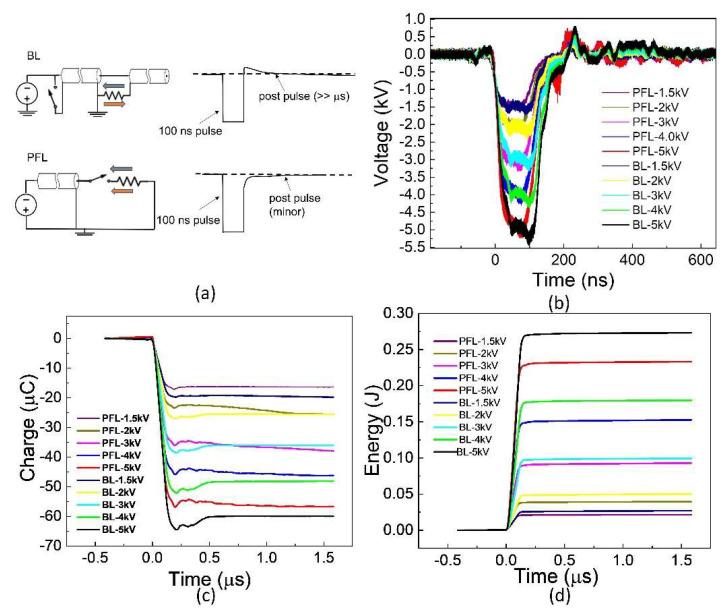https://cdn.ncbi.nlm.nih.gov/pmc/blobs/6c79/10525734/c084c6cec0d0/bioengineering-10-01069-g001.jpg