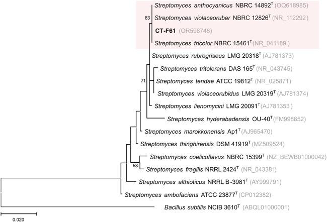 https://cdn.ncbi.nlm.nih.gov/pmc/blobs/6c79/10991731/f4d0b6773e20/fphar-15-1347485-g001.jpg