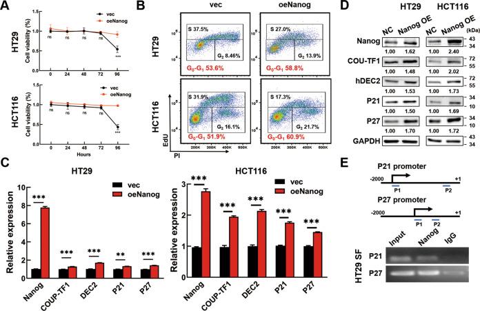 https://cdn.ncbi.nlm.nih.gov/pmc/blobs/6c7c/8854412/7b9e59def9c8/41419_2022_4606_Fig3_HTML.jpg