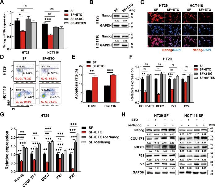 https://cdn.ncbi.nlm.nih.gov/pmc/blobs/6c7c/8854412/7f71f04ac320/41419_2022_4606_Fig4_HTML.jpg
