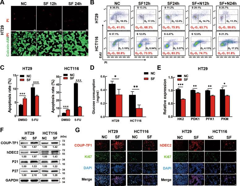 https://cdn.ncbi.nlm.nih.gov/pmc/blobs/6c7c/8854412/851cd3473aaa/41419_2022_4606_Fig1_HTML.jpg
