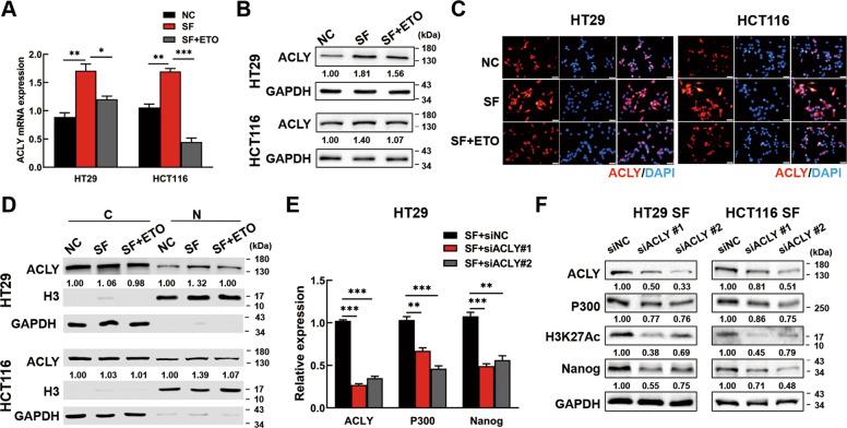 https://cdn.ncbi.nlm.nih.gov/pmc/blobs/6c7c/8854412/8f4918b49ed7/41419_2022_4606_Fig6_HTML.jpg