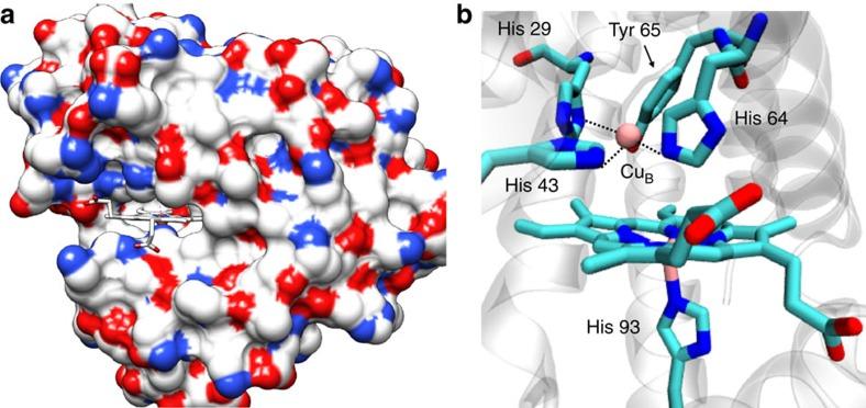 https://cdn.ncbi.nlm.nih.gov/pmc/blobs/6c7d/4633646/807797fb4025/ncomms9467-f1.jpg