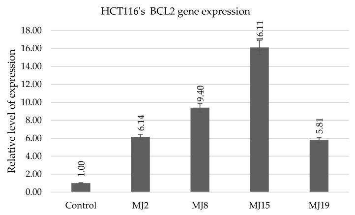 https://cdn.ncbi.nlm.nih.gov/pmc/blobs/6c7e/12295927/188166a1238c/ijms-26-06920-g019.jpg