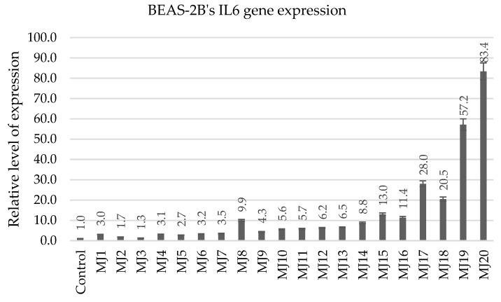 https://cdn.ncbi.nlm.nih.gov/pmc/blobs/6c7e/12295927/e9091d13d3c7/ijms-26-06920-g017.jpg