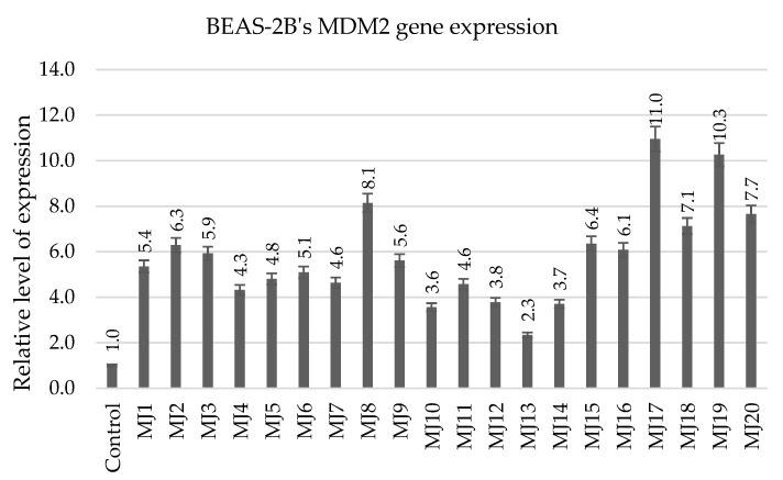 https://cdn.ncbi.nlm.nih.gov/pmc/blobs/6c7e/12295927/fb69adff08ad/ijms-26-06920-g015.jpg